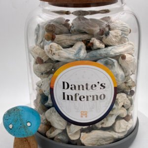 dante’s inferno magic mushrooms